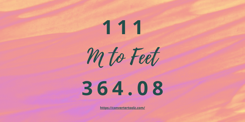 111 m to feet conversion value